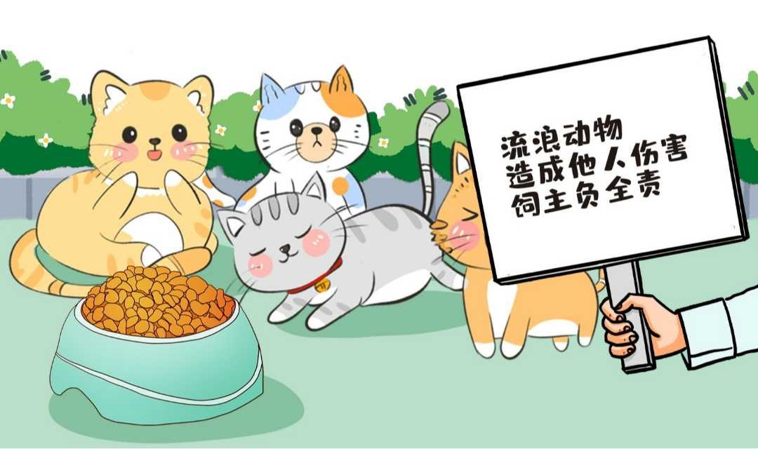 流浪猫治理科普会