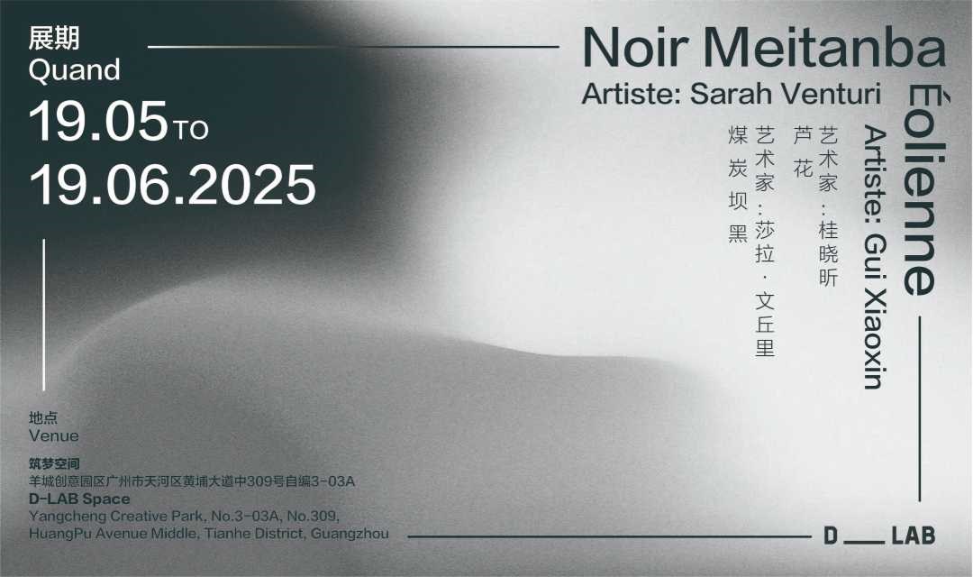 煤炭坝黑、芦花——莎拉·文丘里和桂晓昕艺术作品展