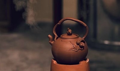 西便门城墙遗址公园｜拾岚茶花会