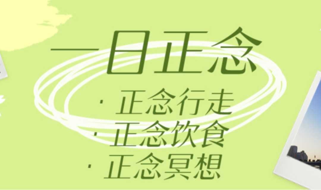 【一日正念深度体验】：释放你工作中的焦虑与压力