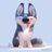 ﹡Tracy